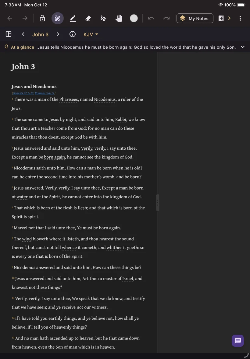 Ink & Word on an iPad, reading John 3